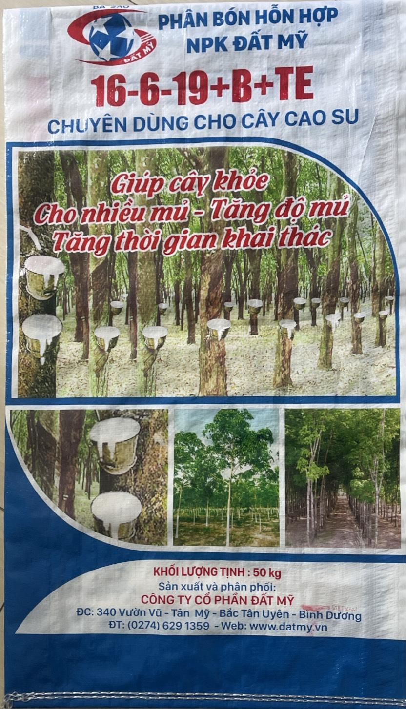 Kỹ thuật trồng và chăm sóc cây cao su